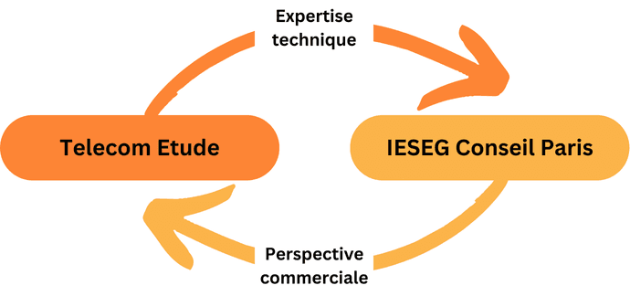 Graphique Complémentarité Telecom Etude IÉSEG Conseil Paris