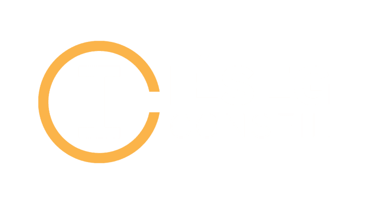 Logo IESEG Conseil Paris